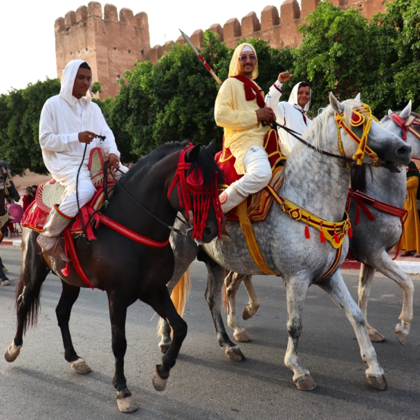 🐴 استعراض افتتاح الملتقى السنوي للتبوريدا 🐎 🌴 تارودانت 🌴#morocco #maroc #taroudant #تارودان (10)